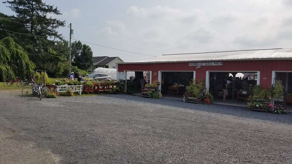 Sorbello Girls Farm Markets | 100 Moods Rd, Mullica Hill, NJ 08062, USA | Phone: (856) 478-9616