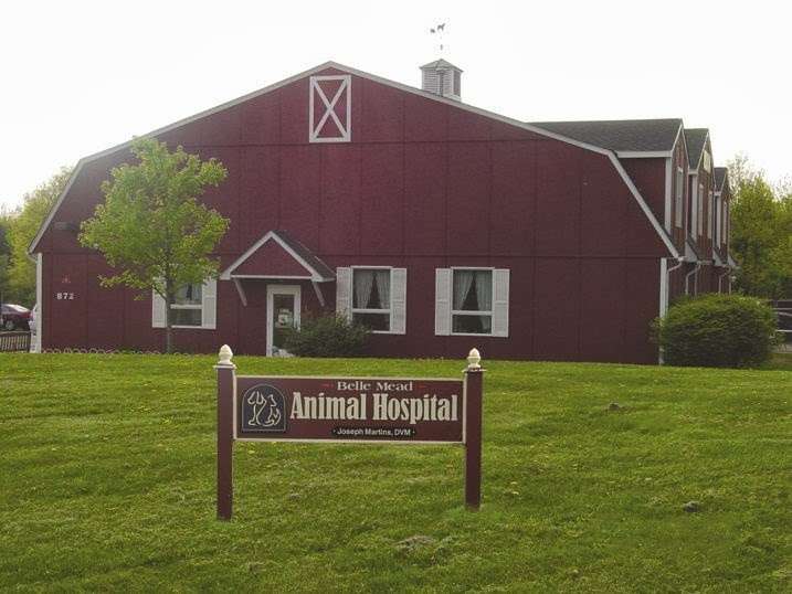 Belle Mead Animal Hospital | 872 US-206, Hillsborough Township, NJ 08844, USA | Phone: (908) 874-4447