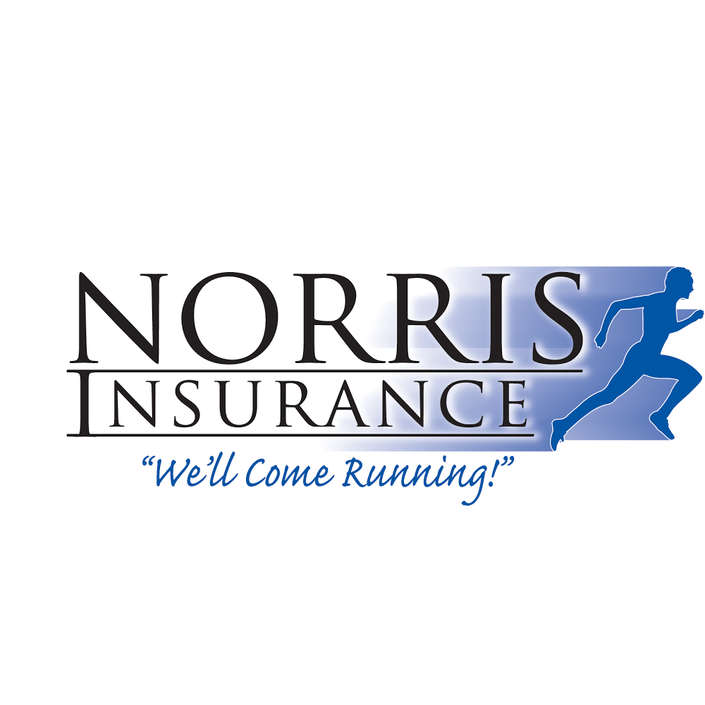 Norris Insurance | 210 S Main St, Fairmount, IN 46928, USA | Phone: (765) 948-4129