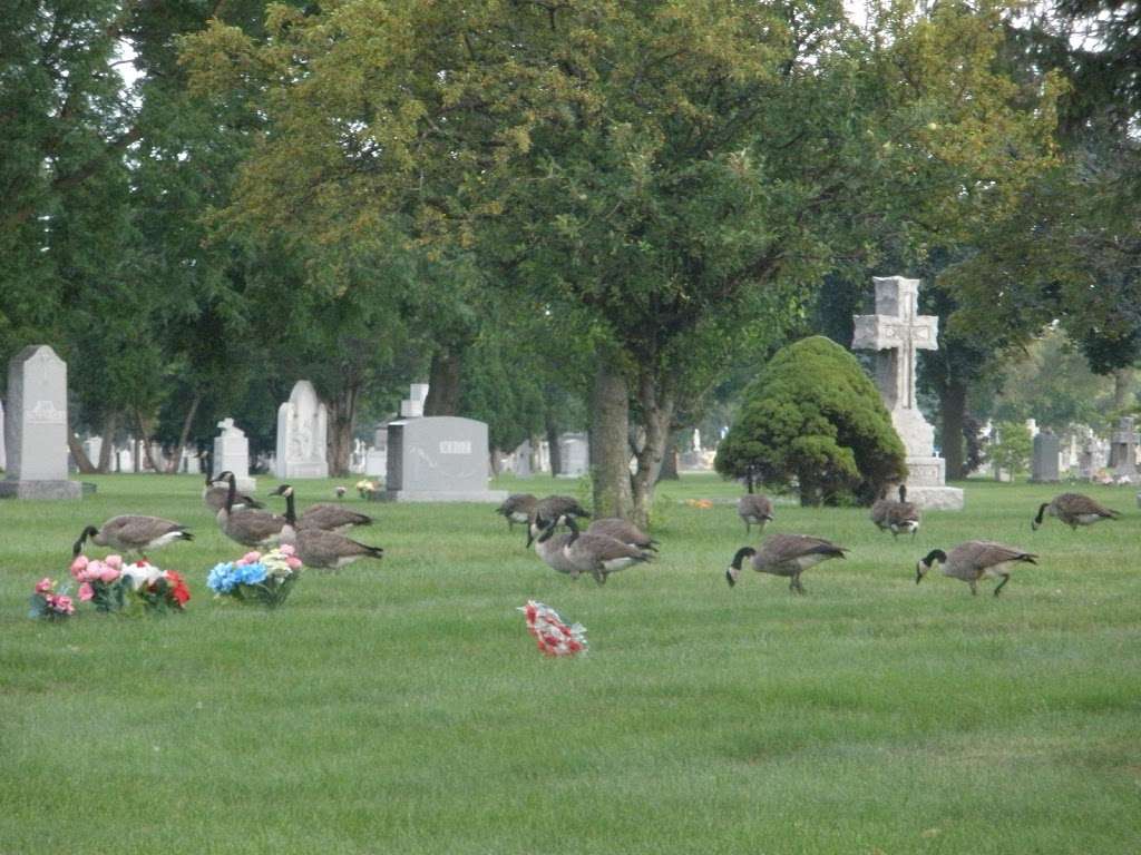 노우드 파크 묘지 | Chicago, IL 60631, USA
