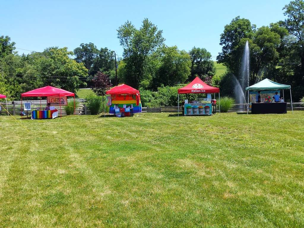 The Castle Fun Center | 109 Brookside Ave, Chester, NY 10918 | Phone: (845) 469-2116