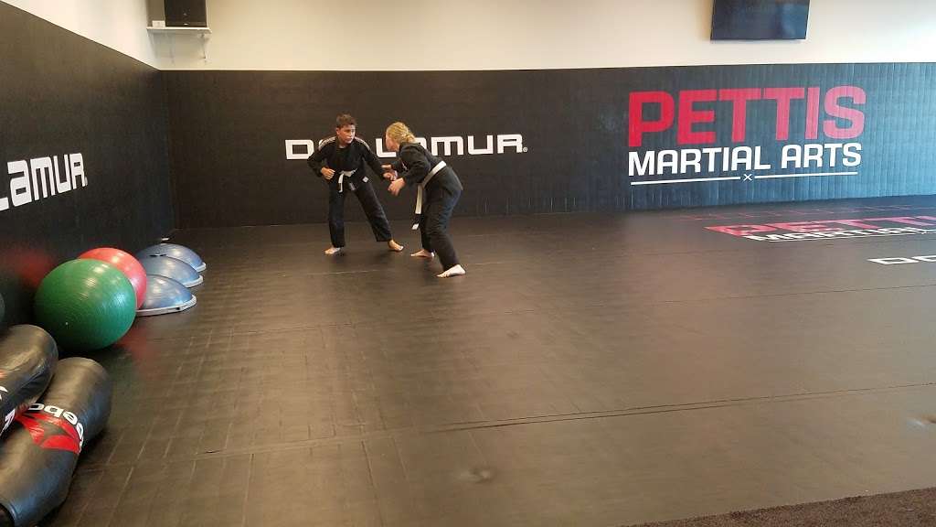 Pettis Martial Arts | 2300 E Layton Ave, St Francis, WI 53235, USA | Phone: (414) 763-6562