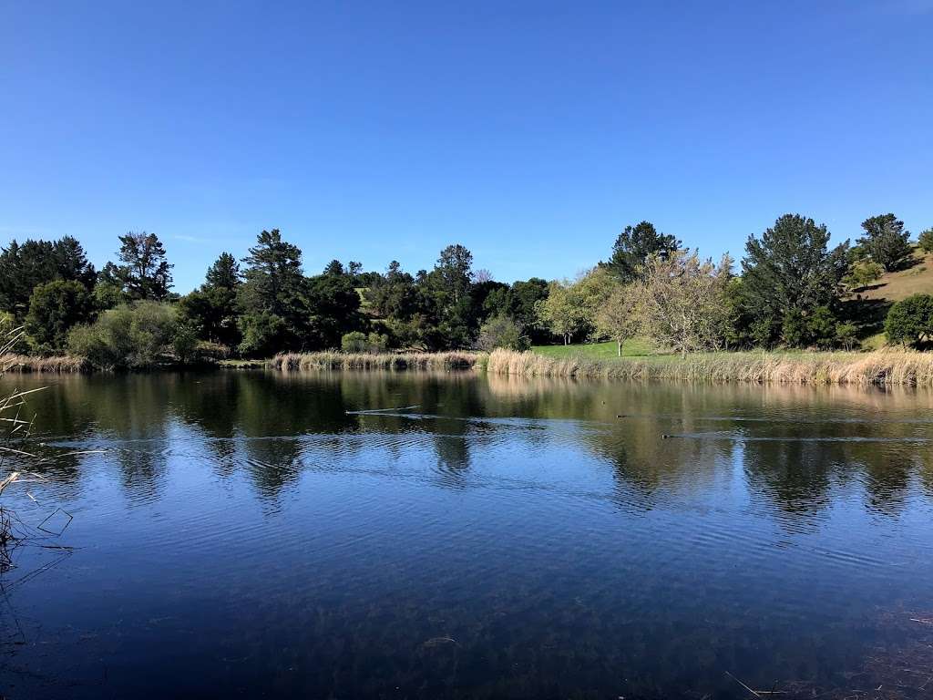 Toyon Trail | Unnamed Road, Los Altos, CA 94022, USA