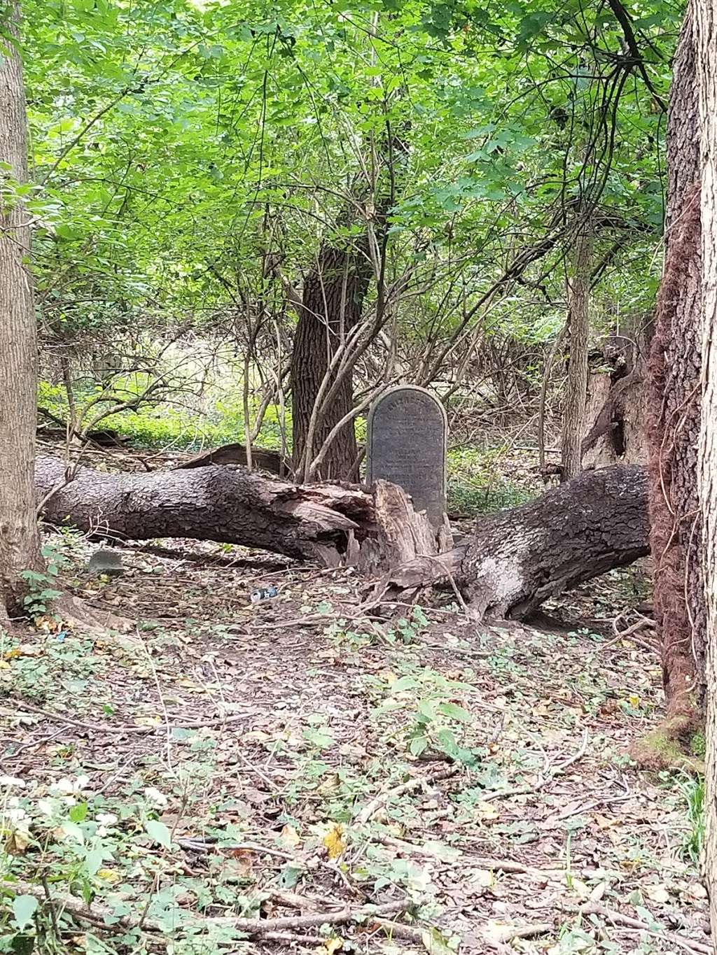 Tremont Cemetery | Norristown, PA 19401