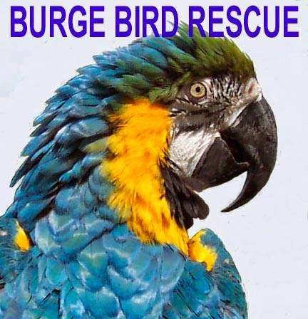Burge Bird Services | 13833 US-71, Grandview, MO 64030 | Phone: (816) 356-4700