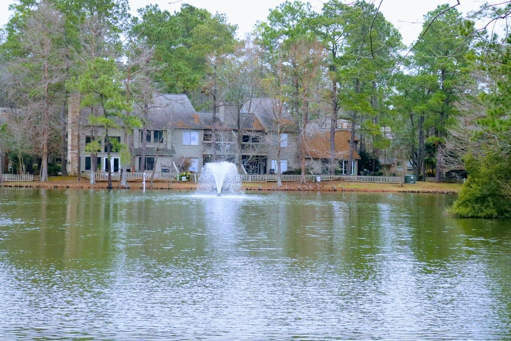 Forest Lake Park | 4900 Shadowbend Pl, The Woodlands, TX 77381, USA