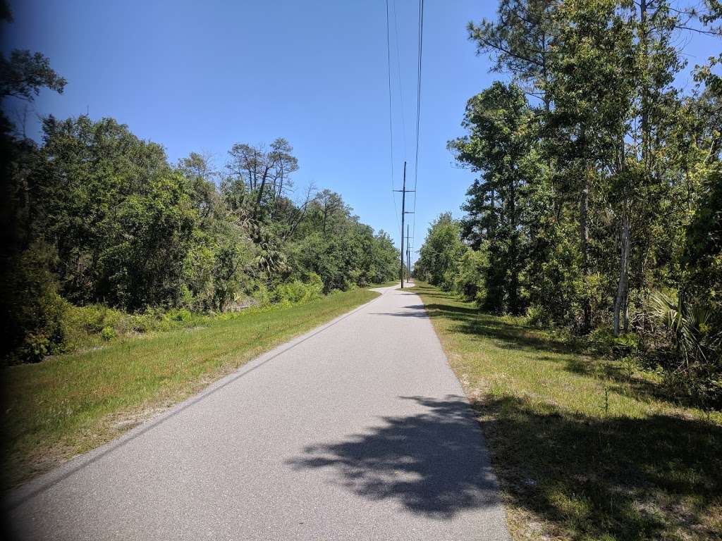 Otter Park South | Otter Blvd, New Smyrna Beach, FL 32168, USA | Phone: (386) 424-2175