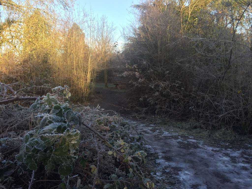 Pond and Rotary Centennial Wildlife Area | Colney Heath, St Albans AL4 0EZ, UK