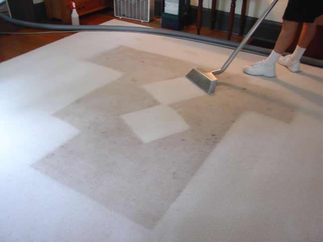 AreaWide Carpet Cleaning | 3049 Cedar Dr #201, La Marque, TX 77568, USA | Phone: (281) 334-4174