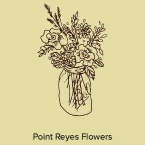 Point Reyes Flowers | 11250 CA-1, Point Reyes Station, CA 94956, USA | Phone: (415) 634-7744