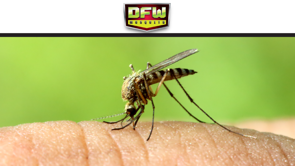 DFW Mosquito | 9729 South Fwy Suite B, Fort Worth, TX 76140, USA | Phone: (817) 615-4944