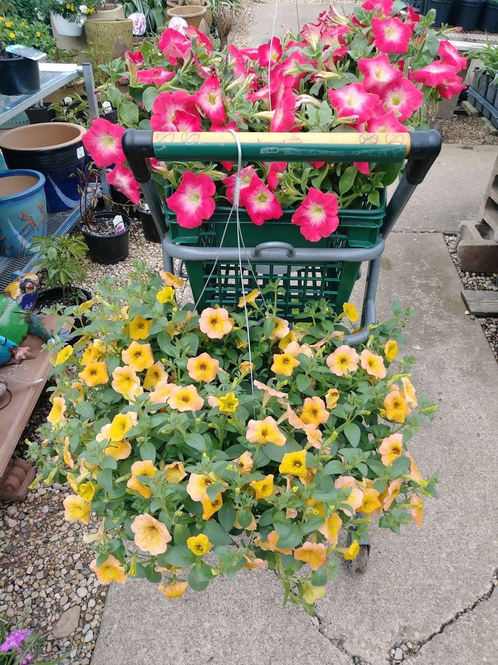 Pesche&Amp;#39;S Greenhouse, Floral Shop &Amp; Gift Barn, 4080 Wi-50, Lake Geneva, Wi 53147, Usa