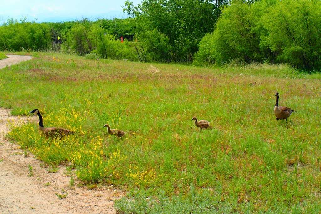 Rocky Mountain Arsenal National Wildlife Refuge | 6550 Gateway Rd, Commerce City, CO 80022, USA | Phone: (303) 289-0930