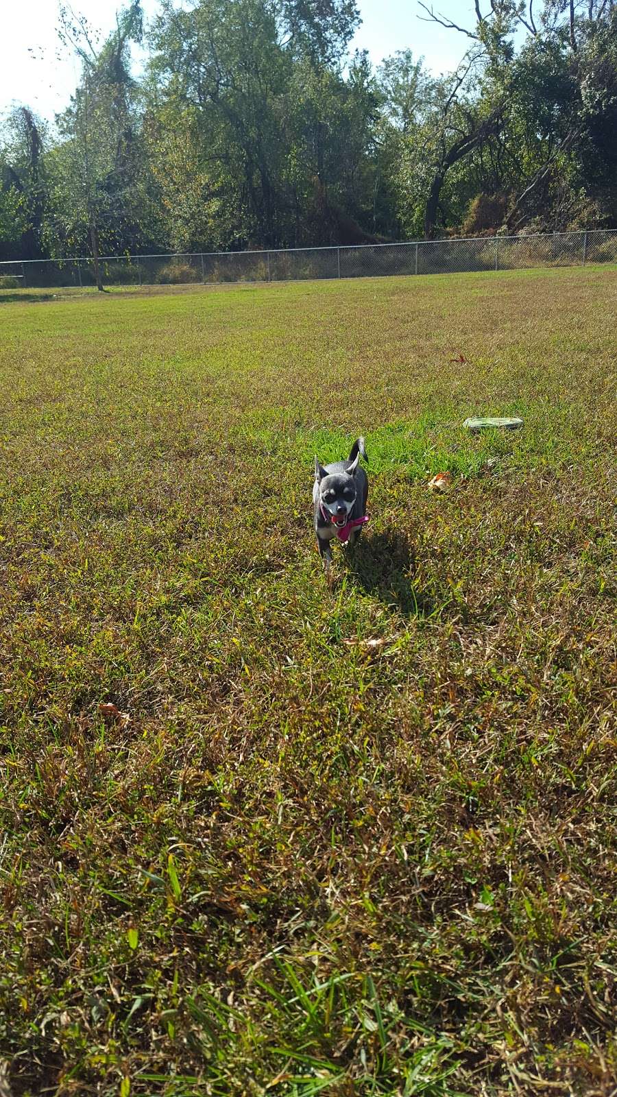 Dog Park | Ernie Pyle St, Fort Meade, MD 20755 | Phone: (301) 677-3810