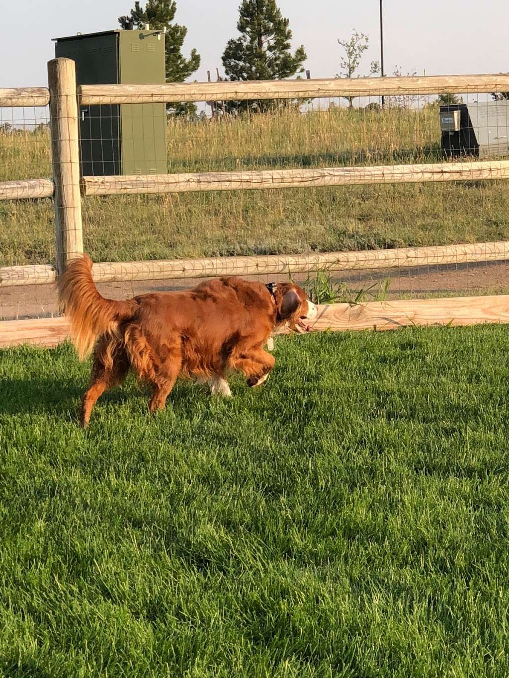 Bayou Gulch Dog Park | 4730 Fox Sparrow Rd, Parker, CO 80134