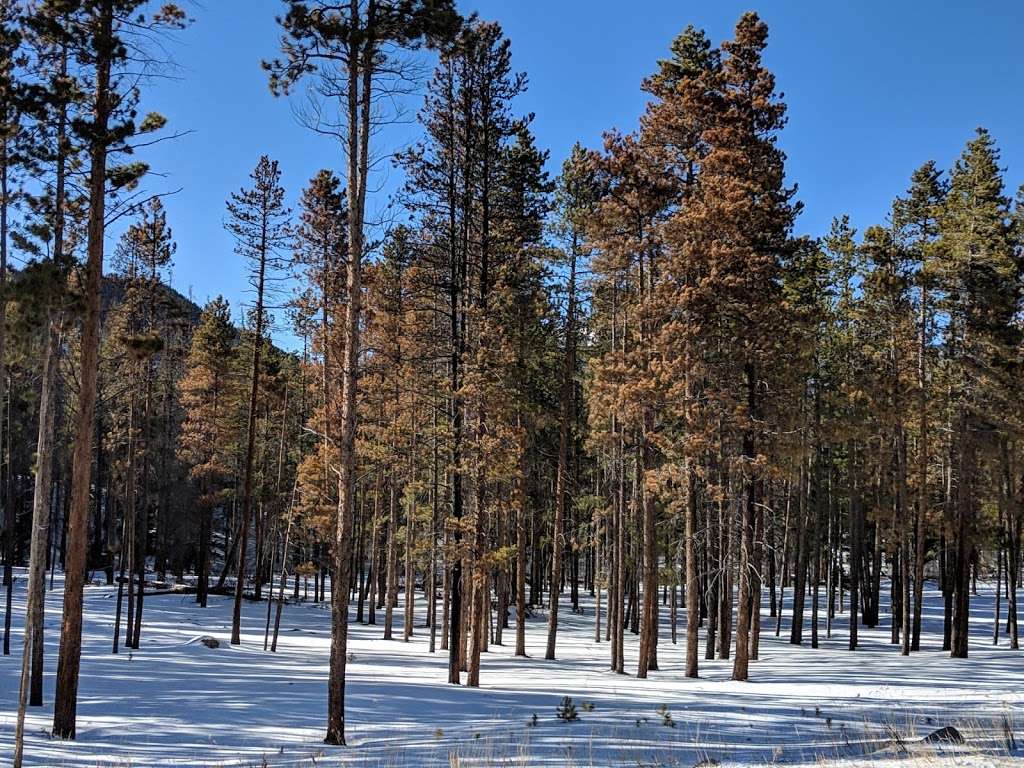 Hupp Family Cemetery | Estes Park, CO 80517, USA