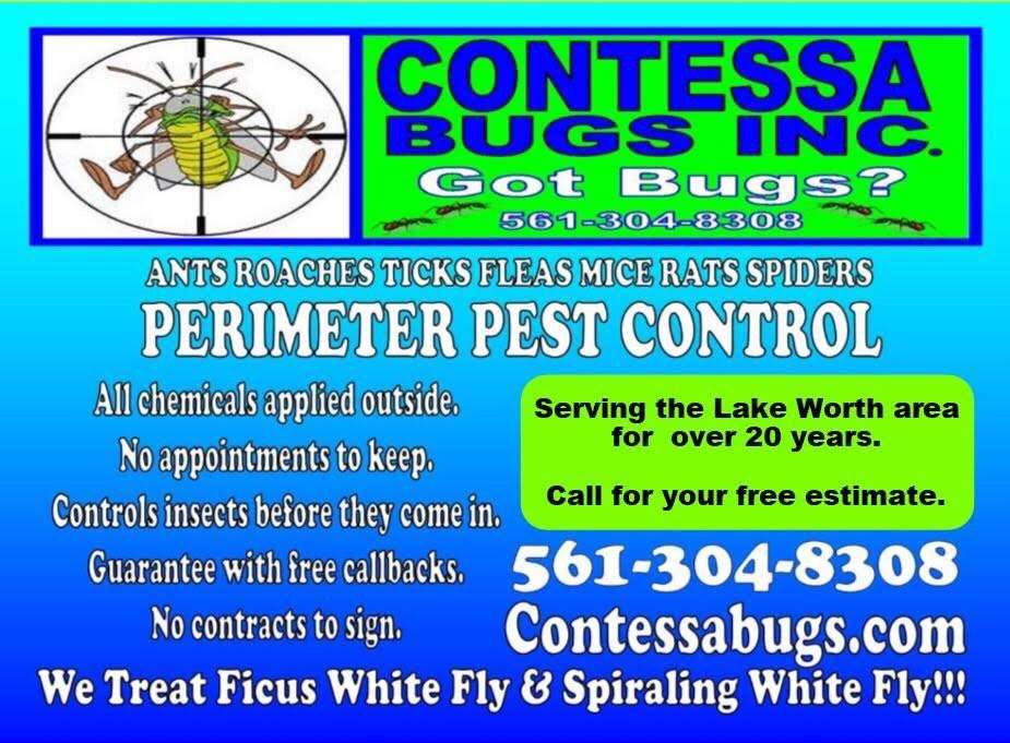 Contessa Bugs Inc. | 3303 Custer Ave, Lake Worth, FL 33467 | Phone: (561) 304-8308