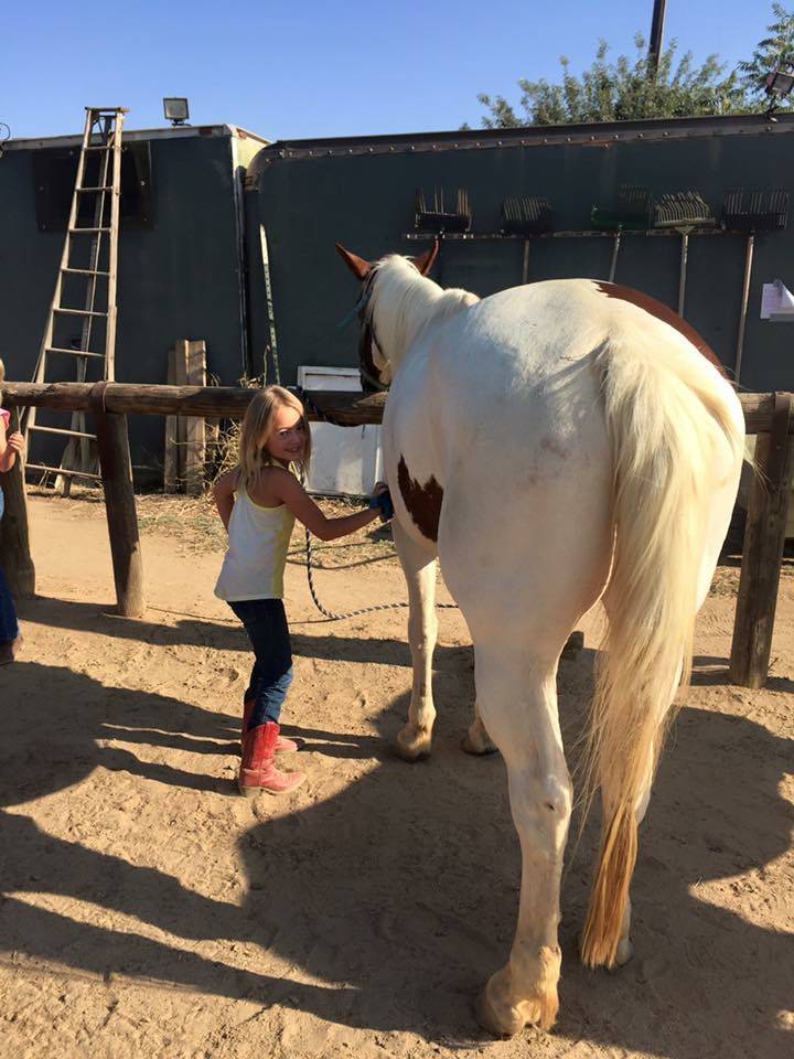 Copperwood Training Stables | 3406 E Behymer Ave, Clovis, CA 93619, USA | Phone: (559) 304-6949