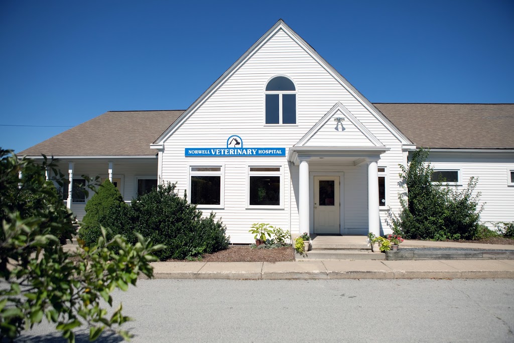 Norwell Veterinary Hospital | 295-R Washington St, Norwell, MA 02061, USA | Phone: (781) 659-4911