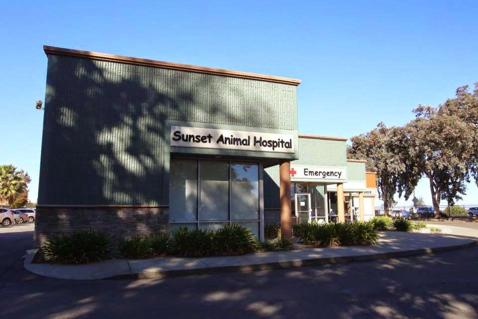 Sunset Animal Hospital | Photo 6 of 10 | Address: 1239 Western St, Fairfield, CA 94533, USA | Phone: (707) 425-4050