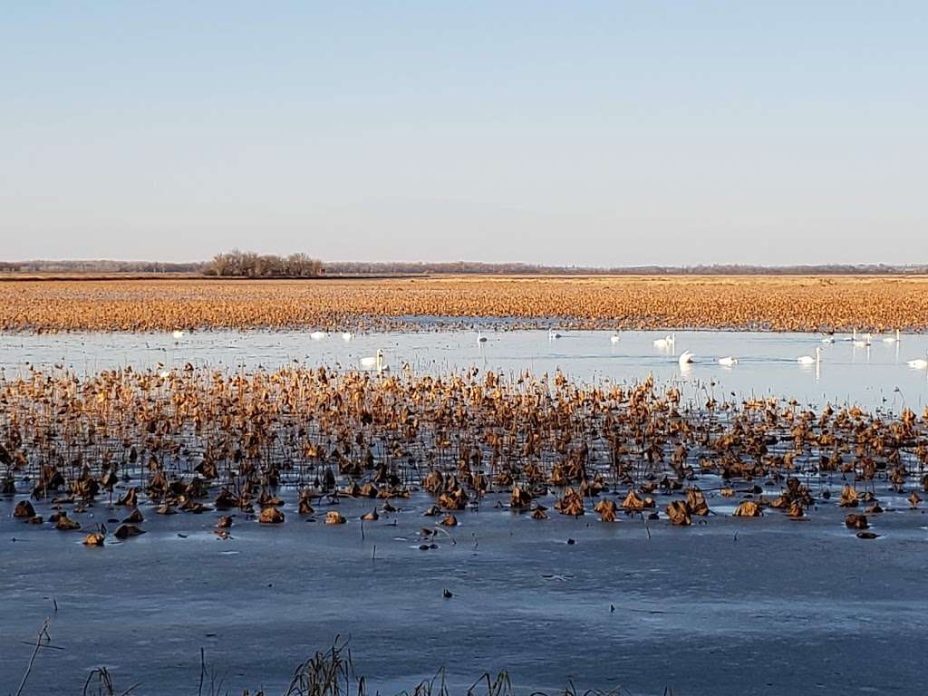 Loess Bluffs National Wildlife Refuge | 25542 US-159, Forest City, MO 64451, USA | Phone: (660) 442-3187