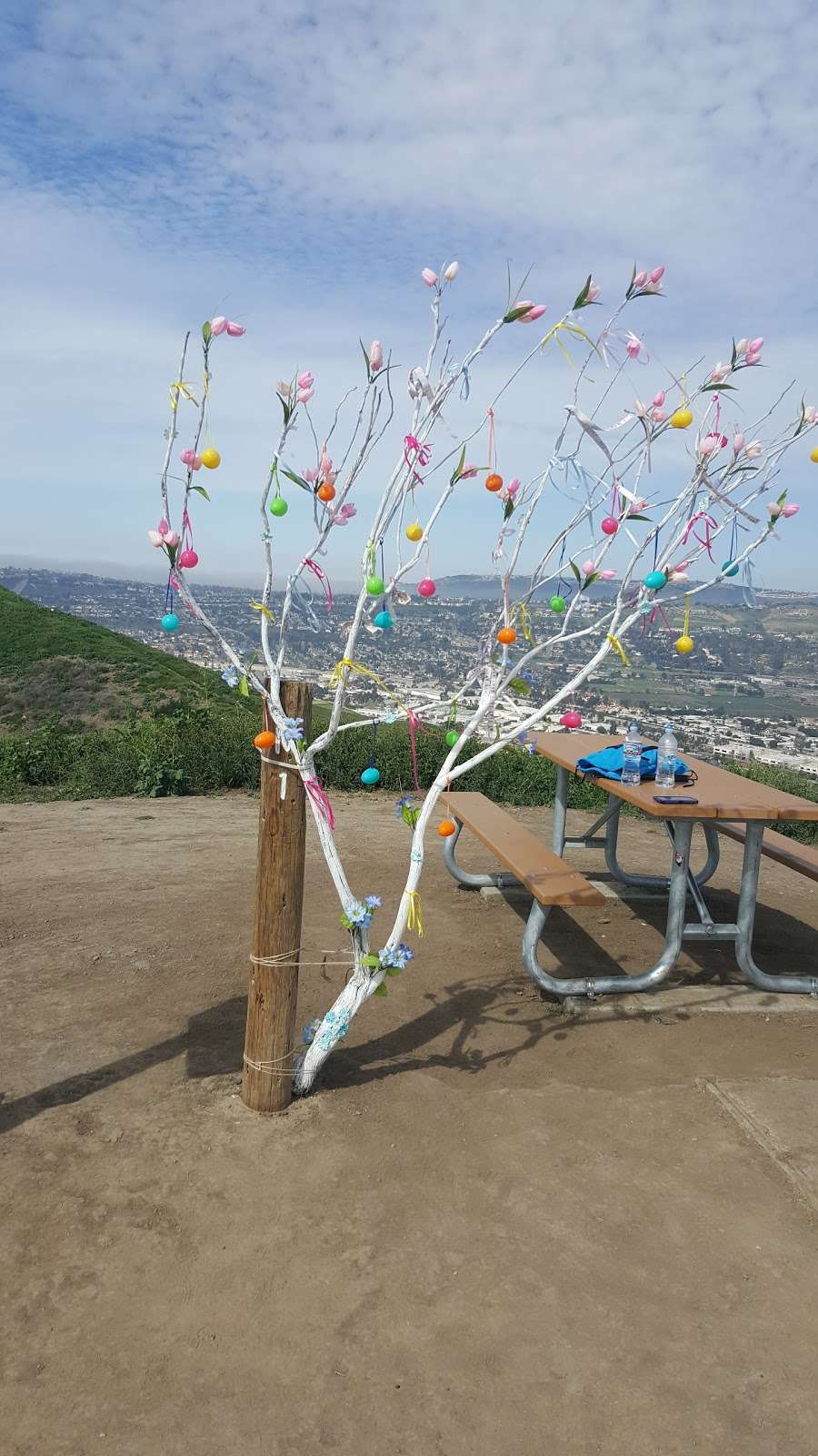 A Way To Travel | 3010 Eminencia Del Sur, San Clemente, CA 92673, USA | Phone: (949) 388-3362