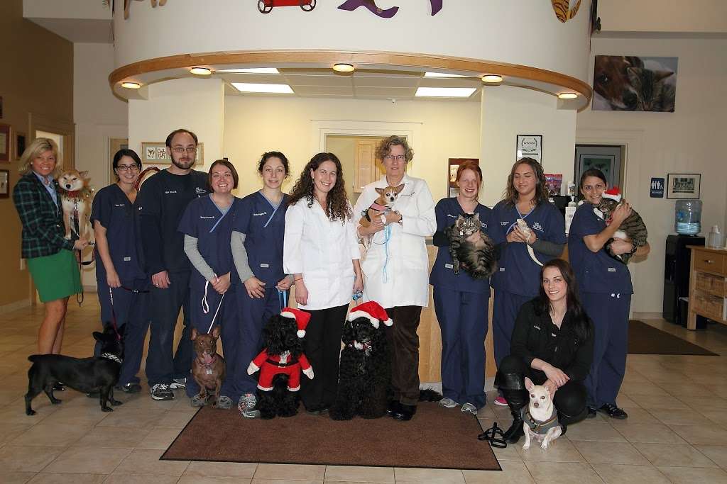 South Branch Veterinary Services | 1127 NJ-31, Lebanon, NJ 08833, USA | Phone: (908) 735-9998