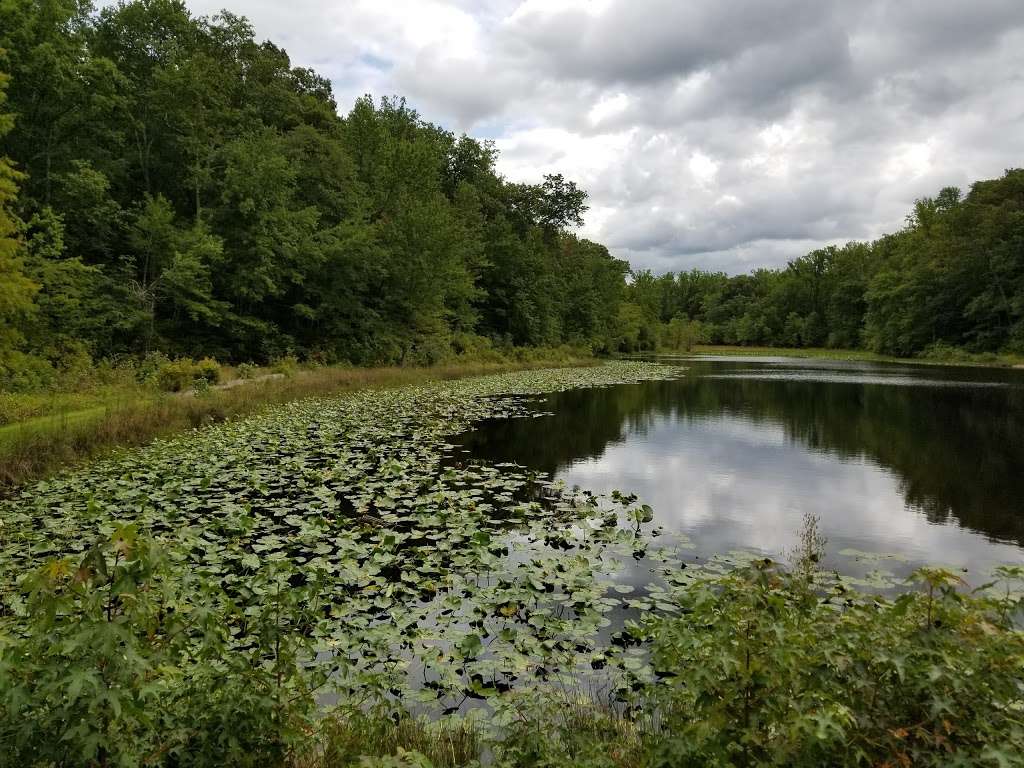 Cedarville State Forest | 10201 Bee Oak Rd, Brandywine, MD 20613, USA | Phone: (301) 888-1410