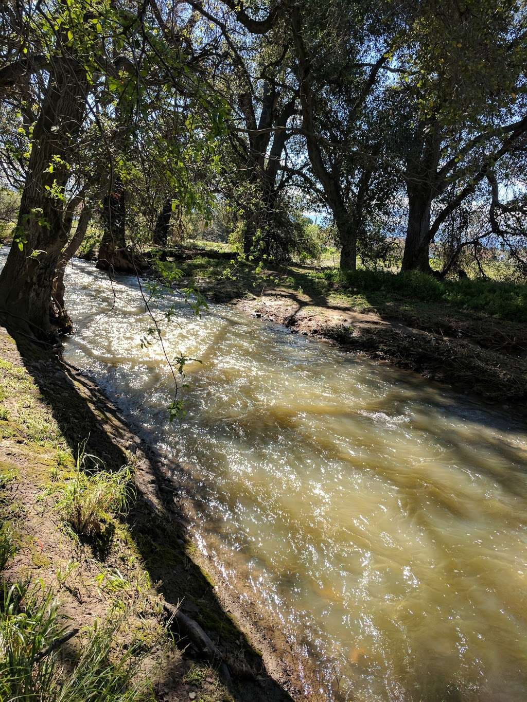 Penitencia Creek County Park | Mabury Rd & Jackson Ave, San Jose, CA 95133, USA | Phone: (408) 262-6980