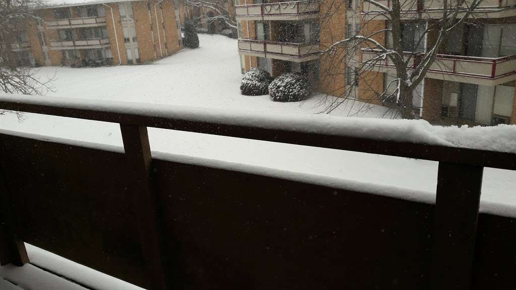 College Park | 1121 W Hillcrest Dr, DeKalb, IL 60115, USA | Phone: (815) 758-7374