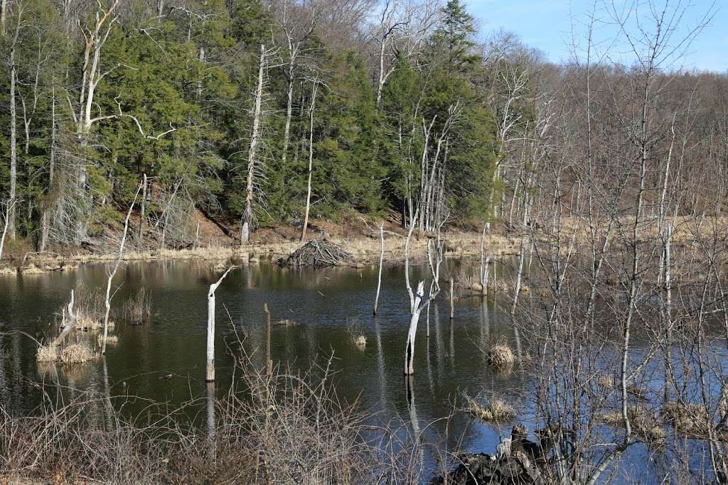 Ice Pond | Brewster, NY 10509, USA