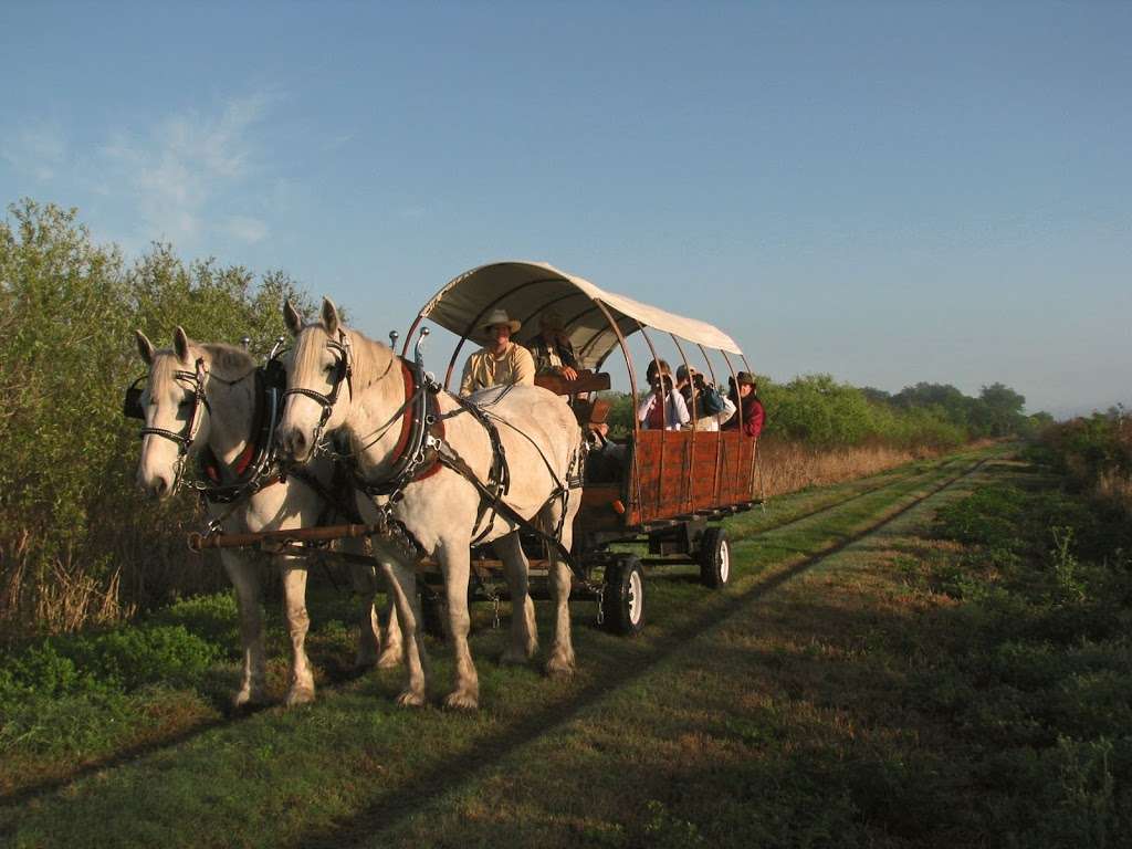 A Hitchn Time Carriages | 20314 Montgomery Rd, Clermont, FL 34715, USA | Phone: (352) 394-8851