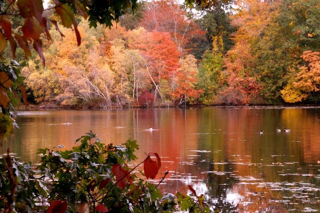 Ten Mile River Preservation Trail | Unnamed Road, Pawtucket, RI 02861, USA