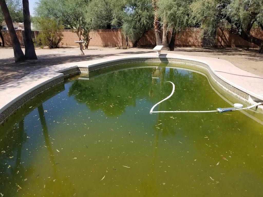 ProBest Pest Management | 751 N Monterey St #116, Gilbert, AZ 85233, USA | Phone: (480) 831-9328