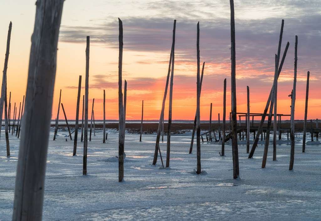 Great Bay Boulevard Wildlife Management Area | Little Egg Harbor Township, NJ 08087, USA