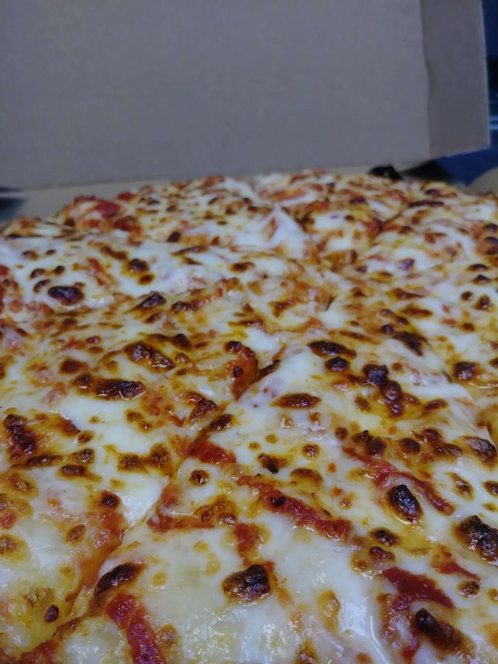 Dominos Pizza | 503 Fox Chase Rd, Hollywood, PA 19046, USA | Phone: (215) 379-0800