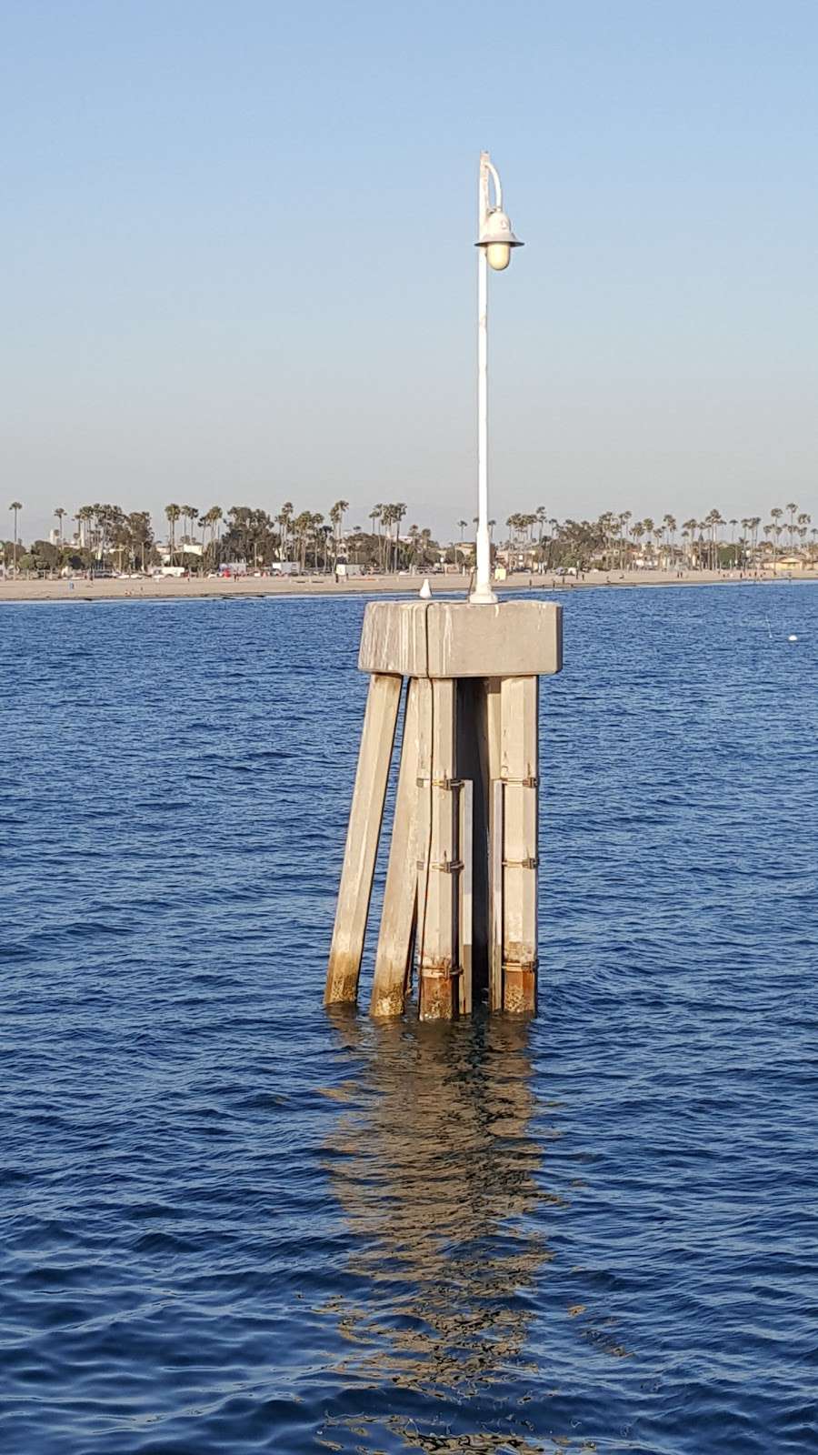 Buoys On The Pier | Belmont Veterans Memorial Pier, Long Beach, CA 90803