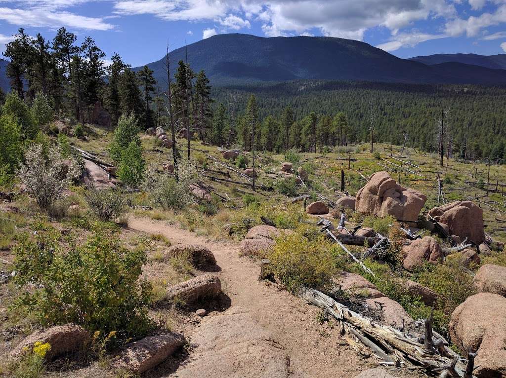 Buffalo Campground | Forest Rd 550, Pine, CO 80470, USA | Phone: (303) 275-5610