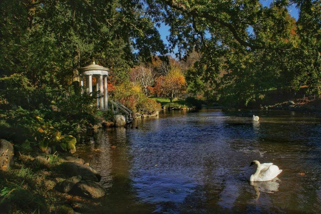 Swan Pond | Philadelphia, PA 19118, USA | Phone: (215) 247-5777