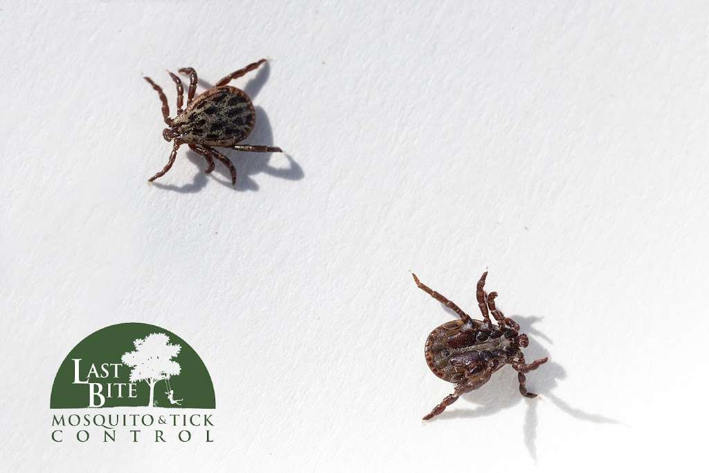 Last Bite Mosquito and Tick Control | 7 Appaloosa Dr, Manalapan Township, NJ 07726, USA | Phone: (866) 742-4887