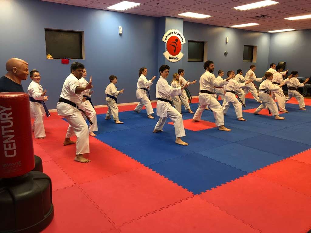 Shodan Karate Academy | 1495 West Main Street, Greenwood, IN 46142 | Phone: (317) 865-8850