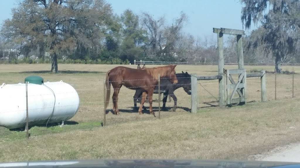 Shiloh RV Park | 5539 Farm to Market Rd 762, Richmond, TX 77469, USA | Phone: (281) 344-2888