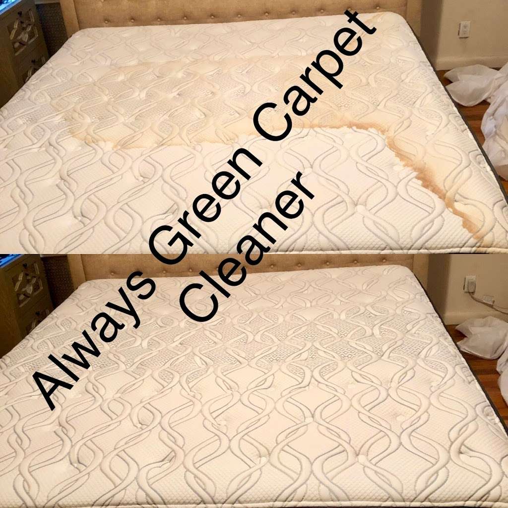 Always Green Carpet Cleaner Queens NY - 20%OFF Rug Cleaning & Up | 8320 98th St, Woodhaven, NY 11421, USA | Phone: (917) 475-0141