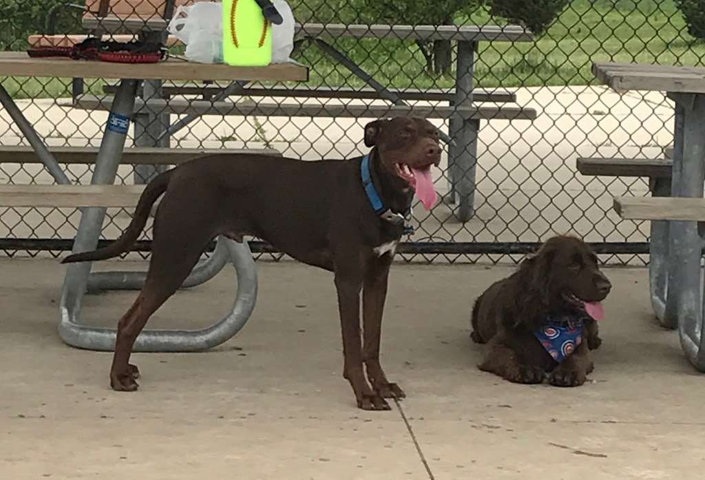 Bremen Grove Dog Park | Tinley Creek, Tinley Park, IL 60477, USA