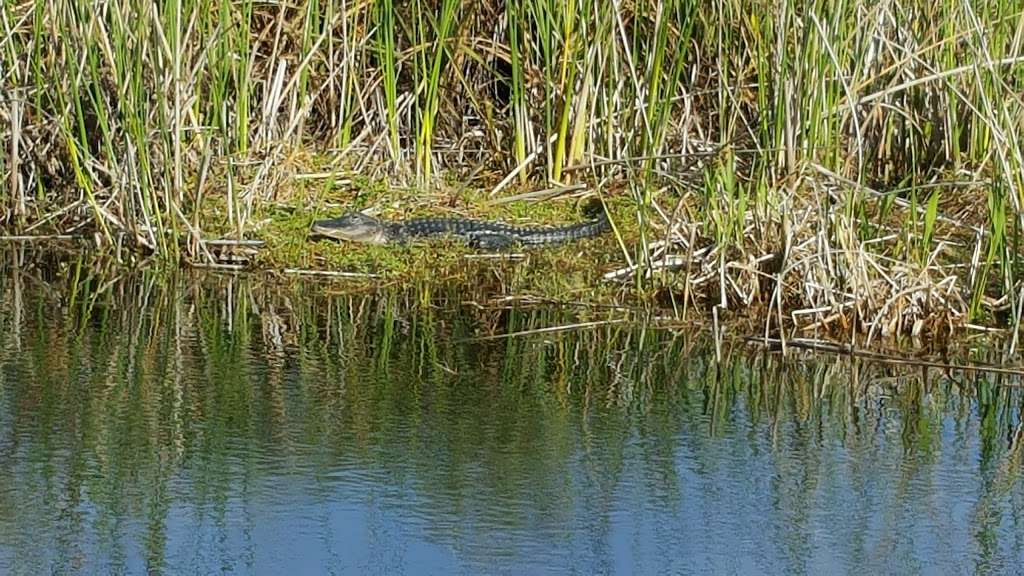 Lake Woodruff National Wildlife Refuge | De Leon Springs, FL 32130 | Phone: (386) 985-4673