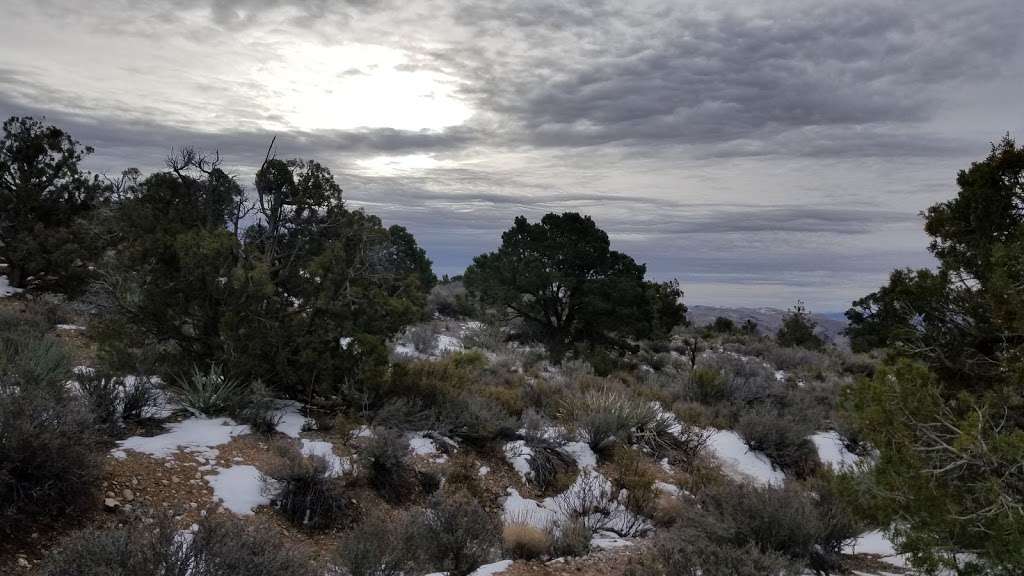 White Rock Trailhead | Red Rock Canyon Rd, Las Vegas, NV 89161, USA