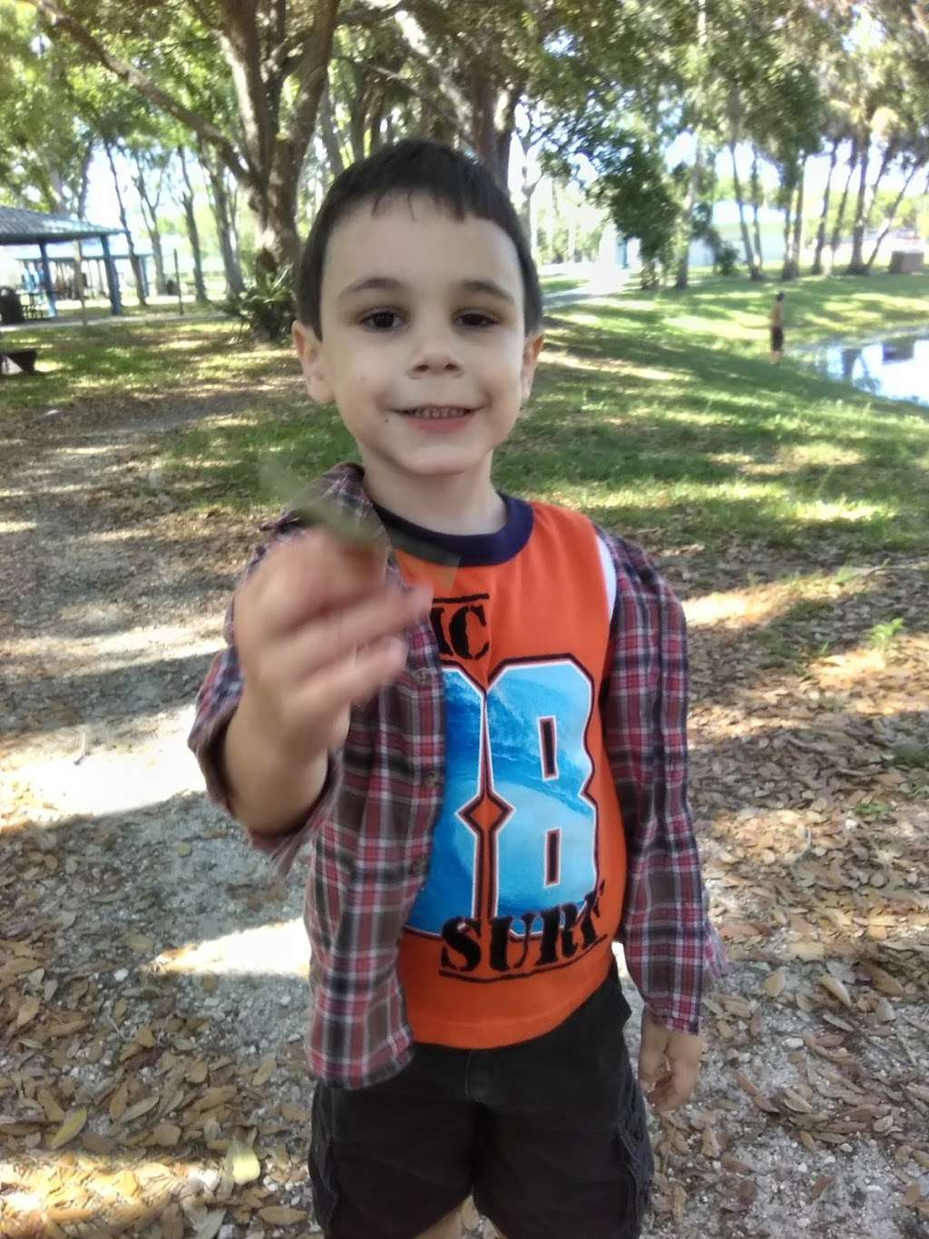 Hawks Park | 1108 S Ridgewood Ave, Edgewater, FL 32132, USA | Phone: (386) 424-2400 Hawks Park | 1108 S Ridgewood Ave, Edgewater, FL 32132, USA | Phone: (386) 424-2400