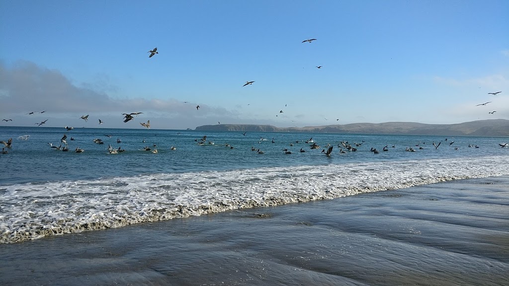 Drakes Beach | Point Reyes National Seashore, Point Reyes Station, CA 94956, USA