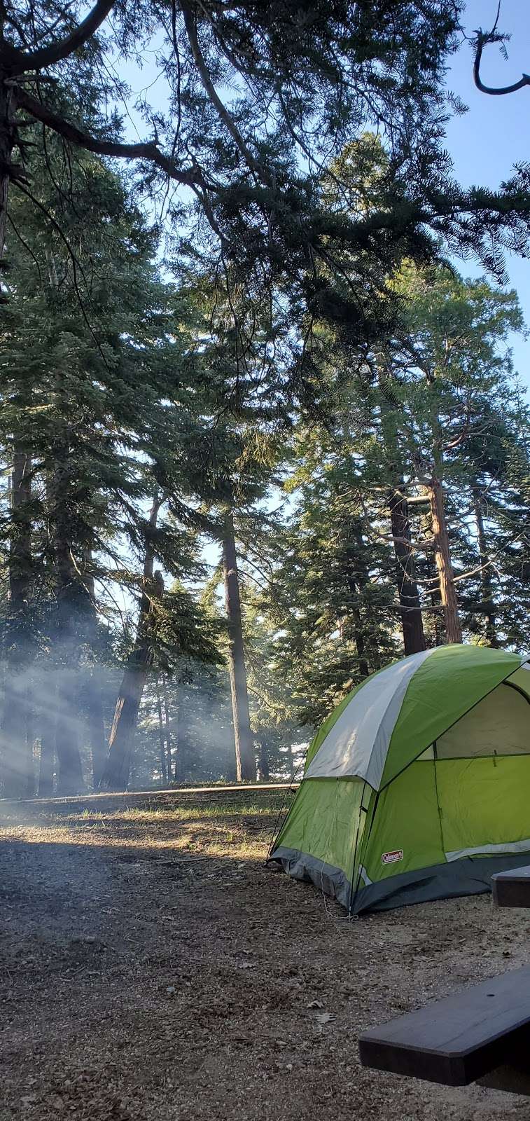 Dogwood Family Campground | Lake Arrowhead, CA 92352, USA | Phone: (909) 336-6717