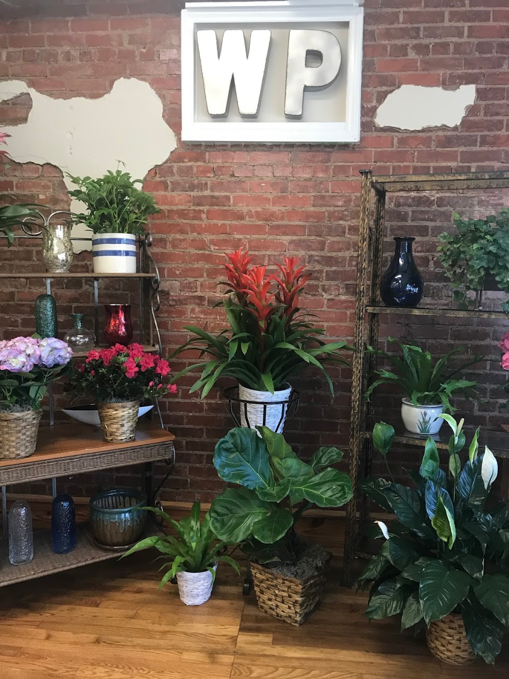 WinterPast Flowers | 1415, 116, N Main St, Lowell, NC 28098, USA | Phone: (704) 825-5172